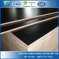 Poplar Core Black Color 18 MM Shutter Plywood